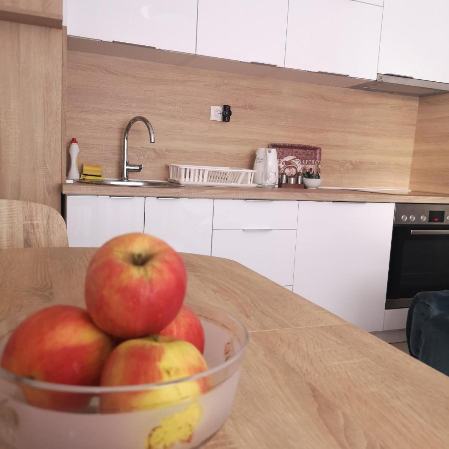 סראייבו Family Apartment With Garden מראה חיצוני תמונה