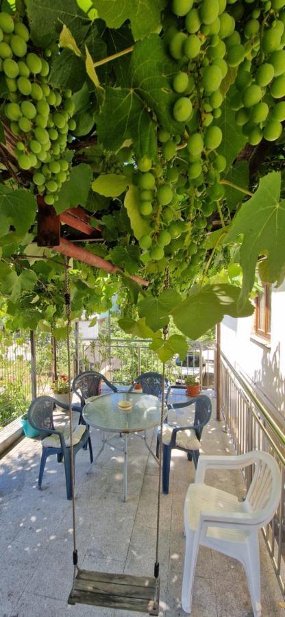 סראייבו Family Apartment With Garden מראה חיצוני תמונה