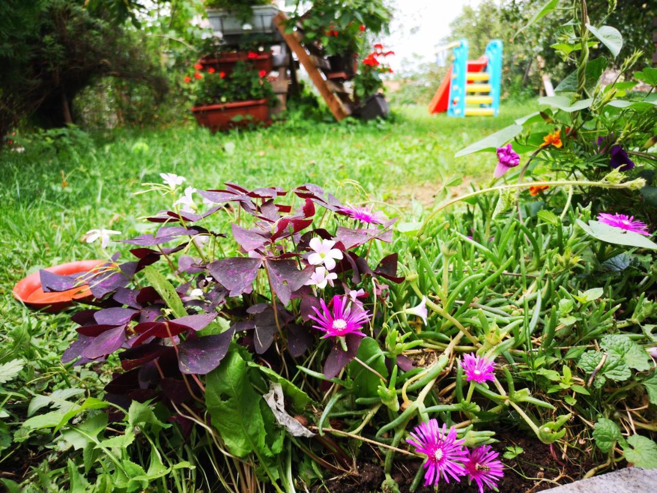 סראייבו Family Apartment With Garden מראה חיצוני תמונה
