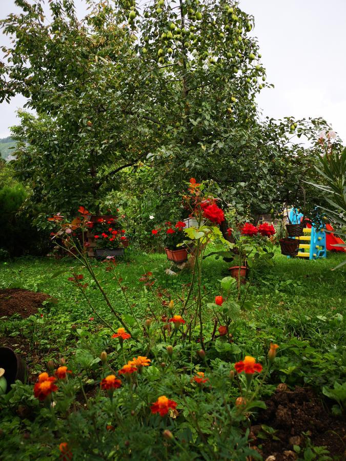 סראייבו Family Apartment With Garden מראה חיצוני תמונה