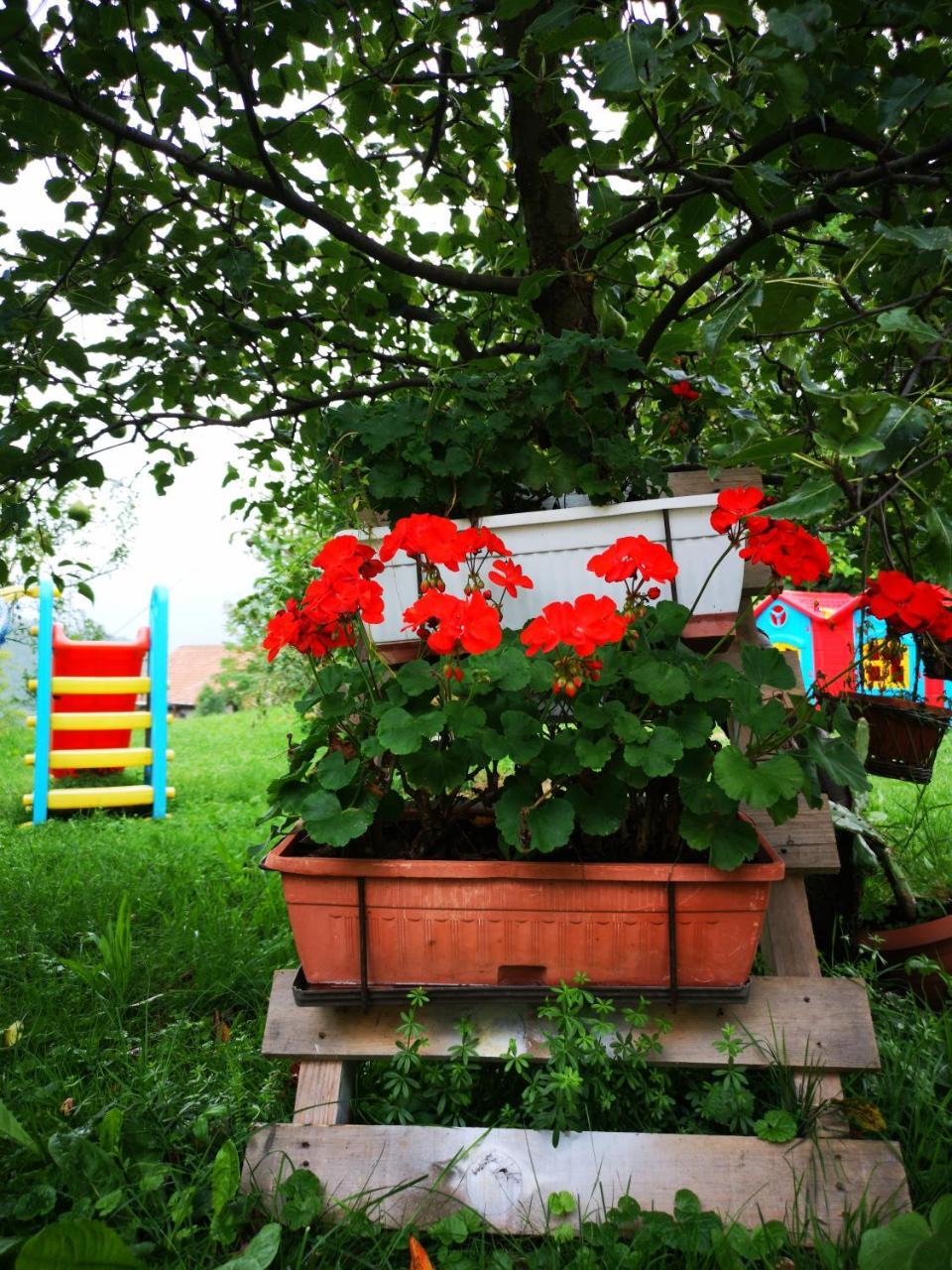סראייבו Family Apartment With Garden מראה חיצוני תמונה