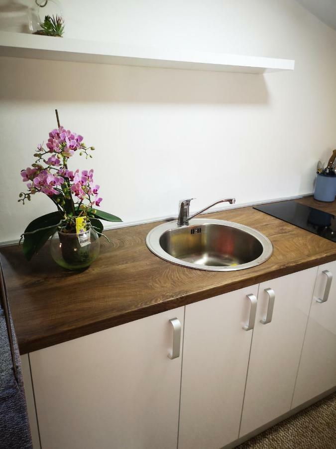 סראייבו Family Apartment With Garden חדר תמונה