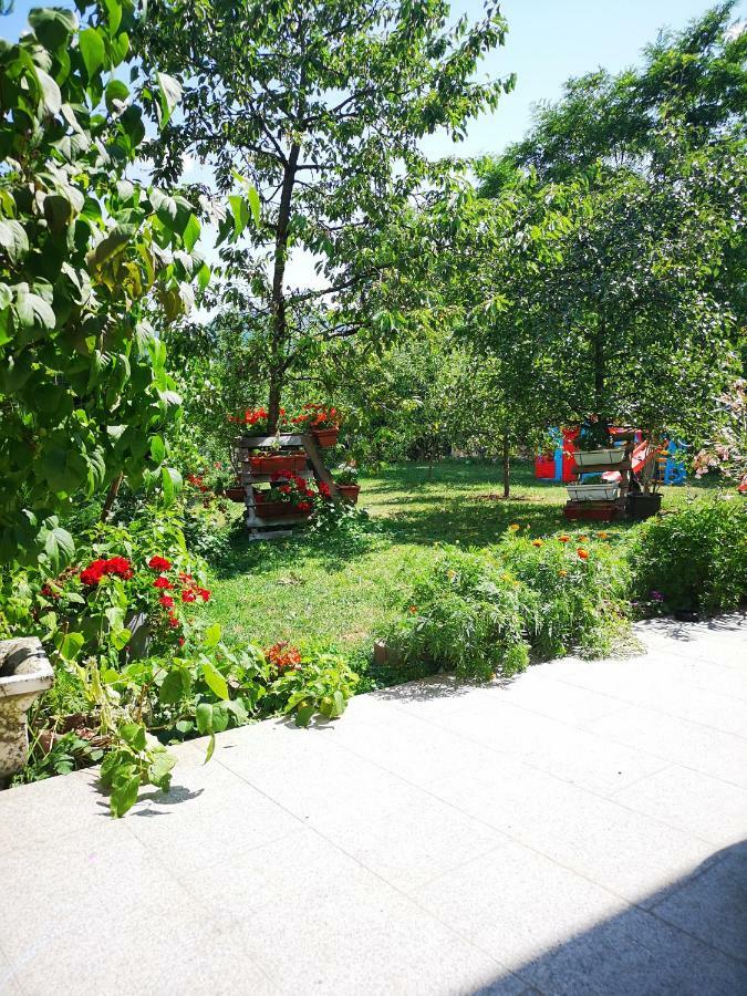 סראייבו Family Apartment With Garden מראה חיצוני תמונה